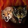 She-Wolf & Cheetah profile picture