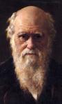 Charles Darwin profile picture