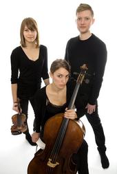 SÃ¶dermalm Pianotrio profile picture