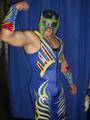 MEXWRESTLER profile picture