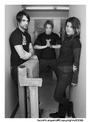 Sick Puppies World Crew profile picture