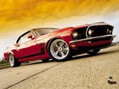 Official Ford Mustang Fan Myspace Â® profile picture