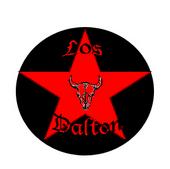 LOS DALTON (se busca bajista) profile picture