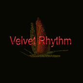 Velvet Rhythm profile picture