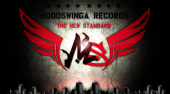 Moodswinga Records â„¢ The New Standard profile picture