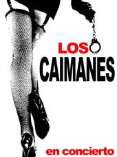 Los Caimanes profile picture