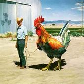 Chicken Wrangler profile picture