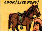 Pony Bob profile picture