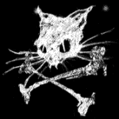 KILLtheCAT! profile picture