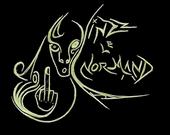 Vinzz Le Normand (black bass sound system) profile picture