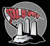 Soul Reapin 3 profile picture