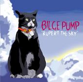 bilge pump profile picture