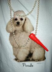 Poodle Crew profile picture