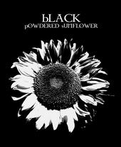 Black Powdered Sunflower profile picture