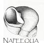 Napeequa profile picture