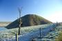 silbury profile picture