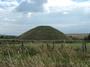 silbury profile picture