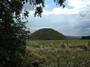 silbury profile picture