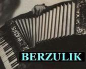 Berzulik profile picture