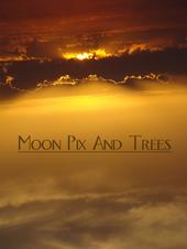 Moon Pix And Trees profile picture