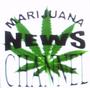 MarijuanaNewsChannel profile picture