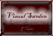 Visual Sweden profile picture