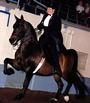 WICHITA RIDING ACADEMY profile picture