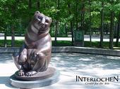 Interlochen Center for the Arts profile picture