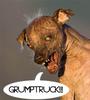 GRUMPTRUCK profile picture