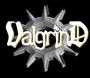 ValgrinD profile picture