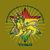 Tribe 13 Harmonic Iration Sound System profile picture