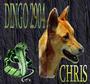 Chris"Dingo//Tha Wilddog " profile picture