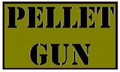 Pellet Gun profile picture