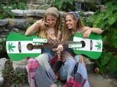 the Hemp Leaf Guitar profile picture