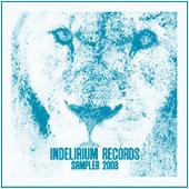 Indelirium Records (DOWNLOAD FREE SAMPLER 2008) profile picture