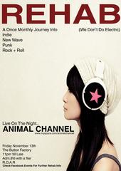 Animal Channel profile picture