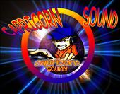 capricornsound profile picture