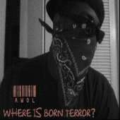 BORN TERROR’S MUSIC PAGE profile picture