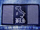 BLS Italian Chapter profile picture