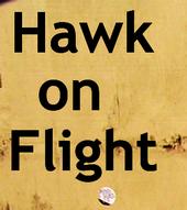 Hawk on Flight profile picture