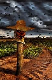 The ScareCROW profile picture