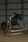 Rodden Equine Training Services profile picture