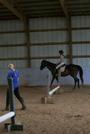 Rodden Equine Training Services profile picture