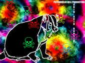 RABID ACID BADGER Â© profile picture