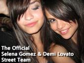 The Official Selena and Demi Street Team profile picture