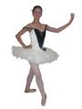 Ballet Ovations profile picture