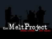 The Melt Project profile picture