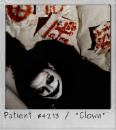 Edible Clowns & the Gentle Fracture profile picture