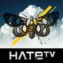 HateTv profile picture