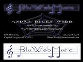 Blu Web Music profile picture